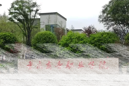 教师