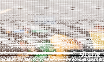 猫和老鼠讲解