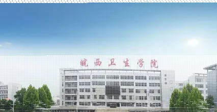 专业