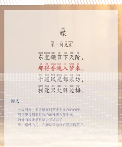 蝴蝶