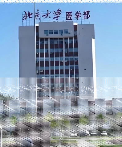 北京大学医学部