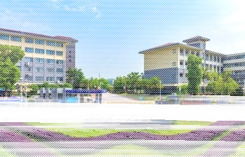 专任教师