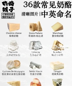 时意