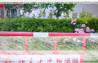 医学部