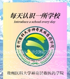 学院