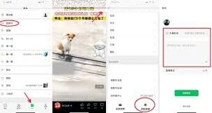 微信视频