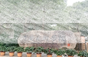 中国美术学院