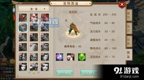 问道宠物经验丹获取技巧分享