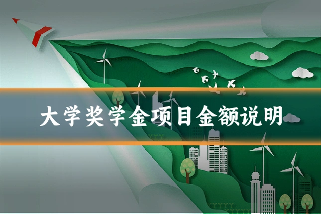 大学奖学金项目金额说明