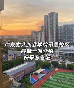 大学