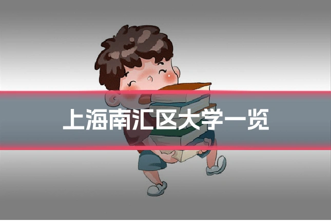 上海南汇区大学一览