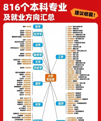 大学