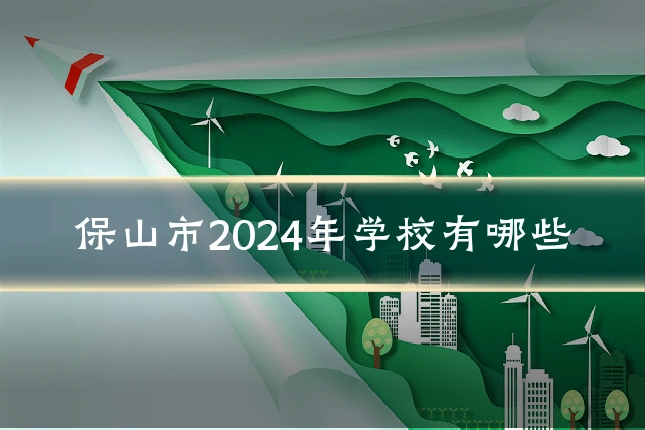 保山市2024年学校有哪些
