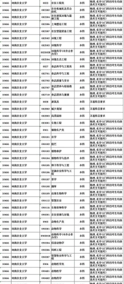 申论