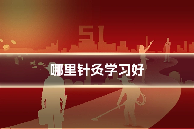 哪里针灸学习好
