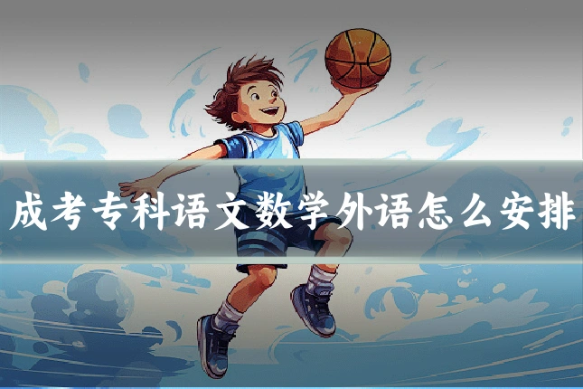 成考专科语文数学外语怎么安排
