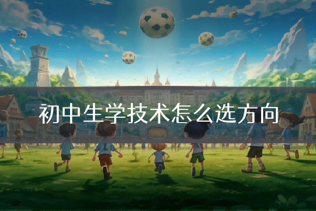 初中生学技术怎么选方向