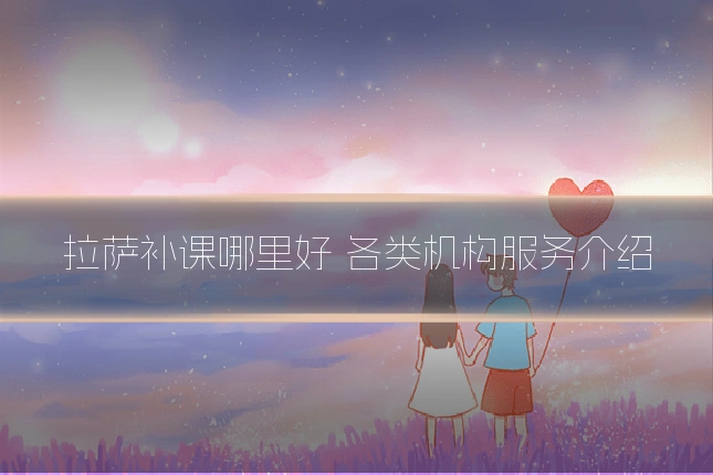 拉萨补课哪里好 各类机构服务介绍