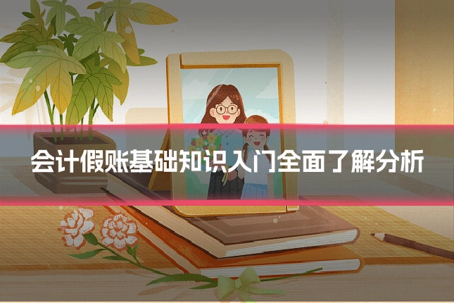 会计假账基础知识入门全面了解分析