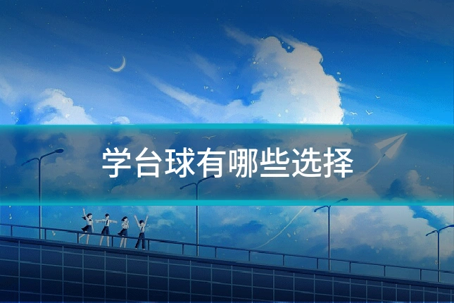学台球有哪些选择