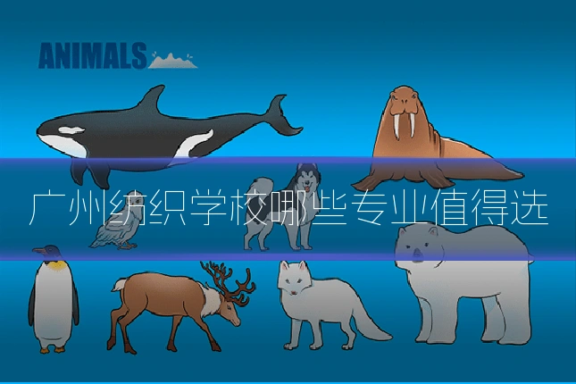 广州纺织学校哪些专业值得选