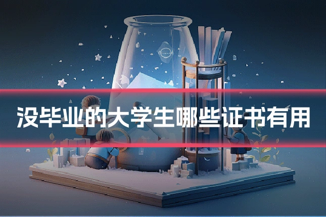 没毕业的大学生哪些证书有用