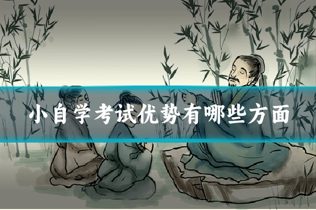小自学考试优势有哪些方面