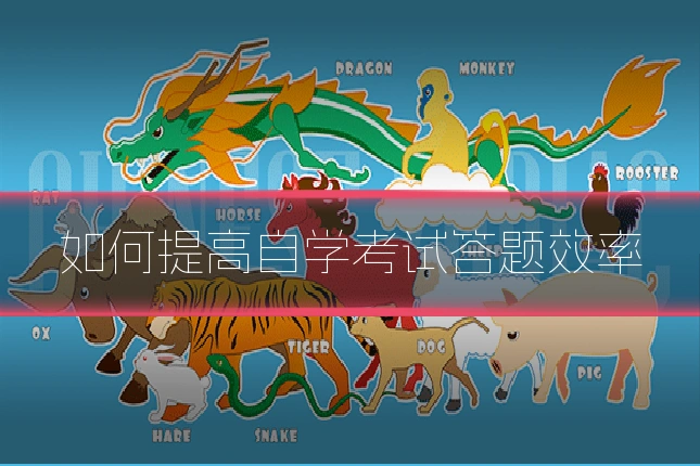 如何提高自学考试答题效率