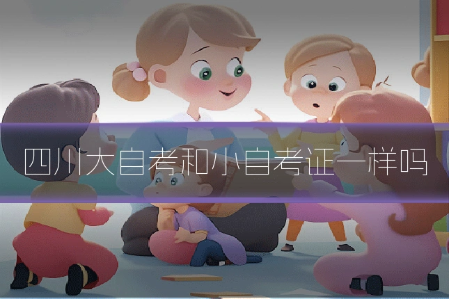 四川大自考和小自考证一样吗