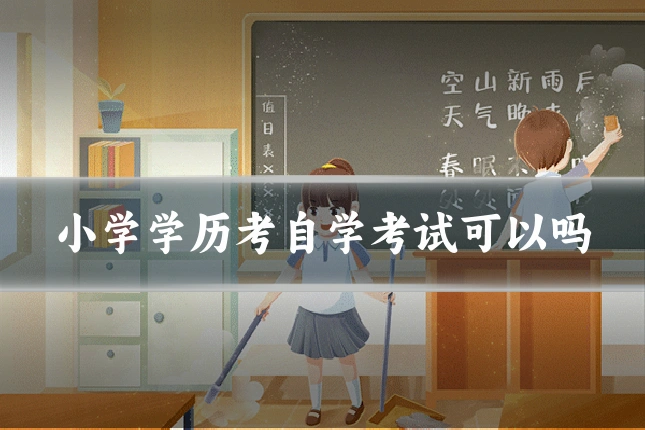 小学学历考自学考试可以吗