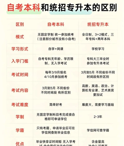 专业