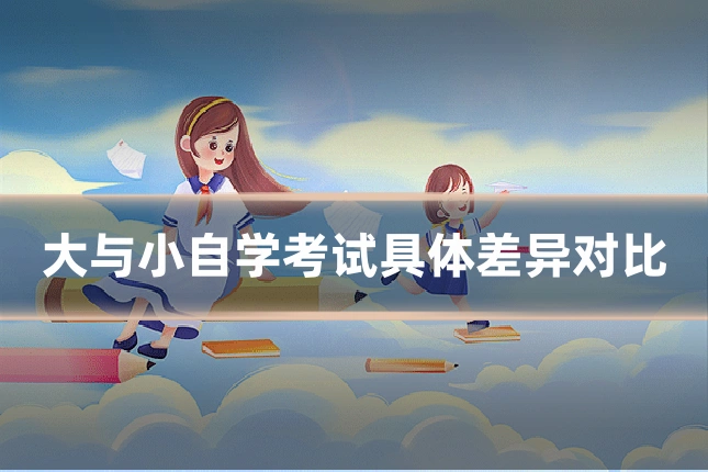 大与小自学考试具体差异对比