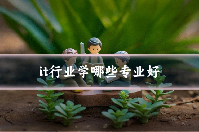 it行业学哪些专业好