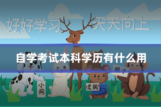 自学考试本科学历有什么用