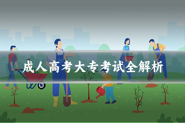 成人高考大专考试全解析