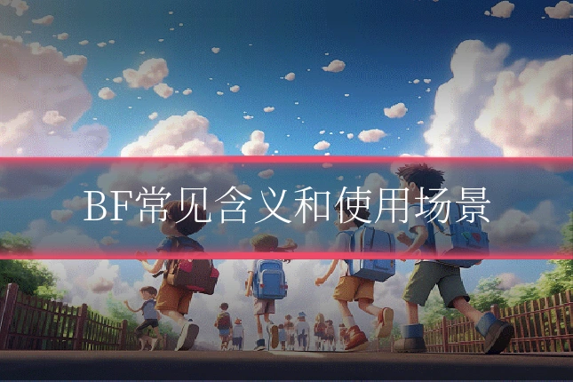 BF常见含义和使用场景