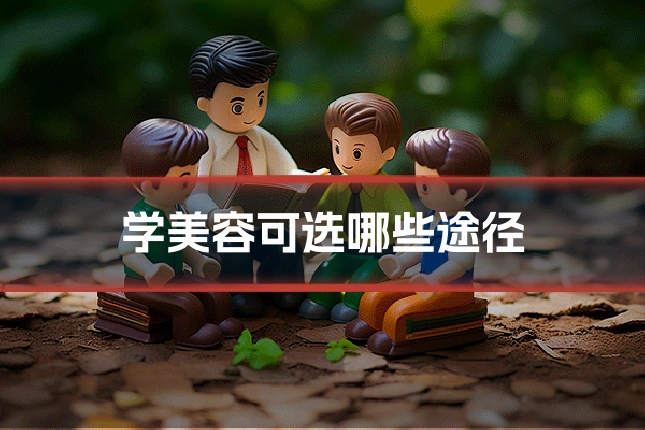 学美容可选哪些途径