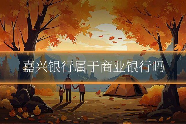嘉兴银行属于商业银行吗