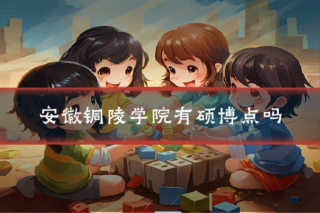 安徽铜陵学院有硕博点吗