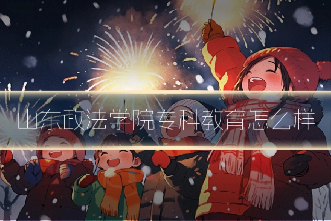 山东政法学院专科教育怎么样