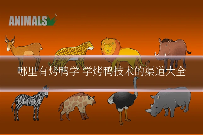 哪里有烤鸭学 学烤鸭技术的渠道大全