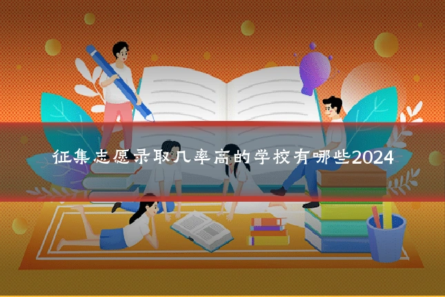 征集志愿录取几率高的学校有哪些2024