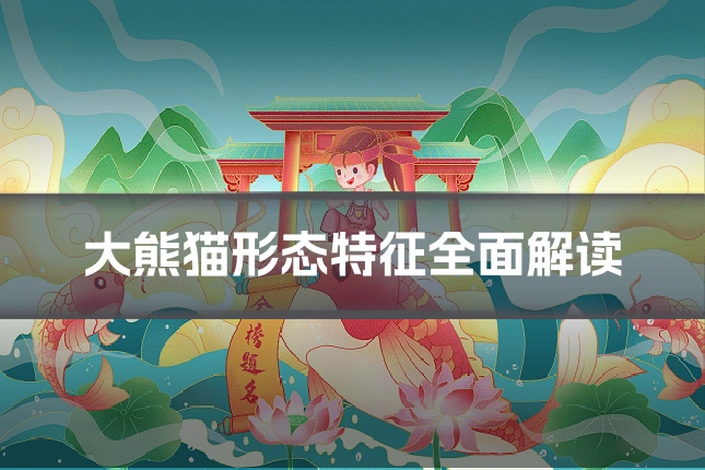 大熊猫形态特征全面解读