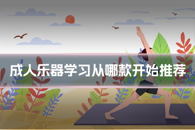 成人乐器学习从哪款开始推荐