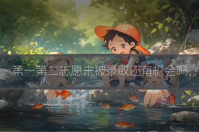 第一第二志愿未被录取还有机会吗