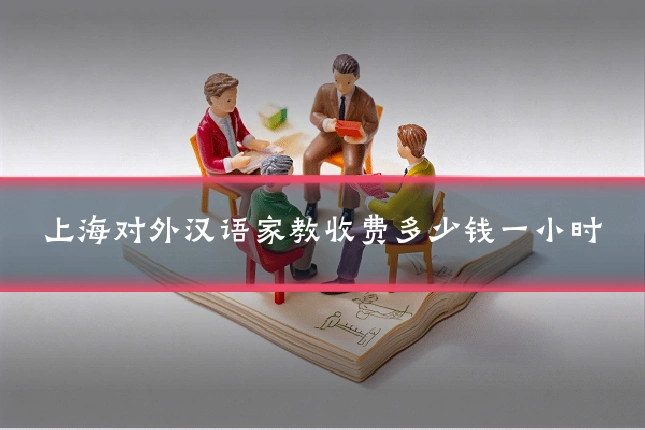 上海对外汉语家教收费多少钱一小时