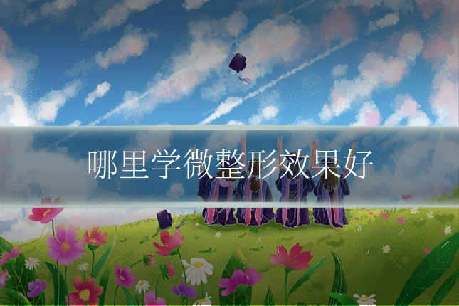 哪里学微整形效果好