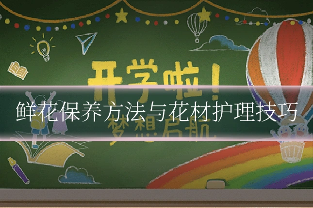 鲜花保养方法与花材护理技巧