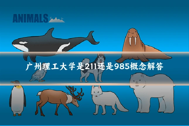 广州理工大学是211还是985概念解答
