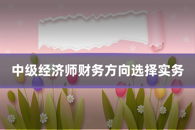 中级经济师财务方向选择实务
